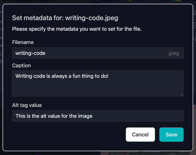 Setting the metadata